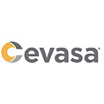 Cevasa